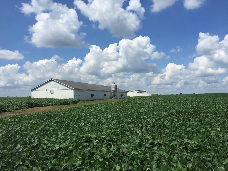 LAND AUCTION - 54.1+/- ACRES OFFERED IN 2 TRACTS IN NOBLE COUNTY, INDIANA
